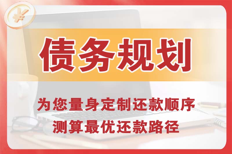 贵池债务规划
